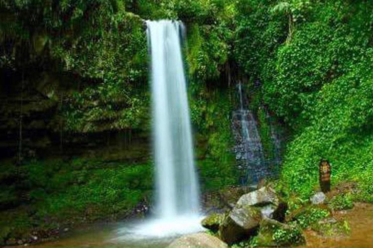 Oyo Home 90396 Mahua Rainforest Paradise Tambunan Exterior photo
